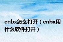 enbx怎么打开（enbx用什么软件打开）