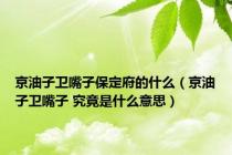 京油子卫嘴子保定府的什么（京油子卫嘴子 究竟是什么意思）