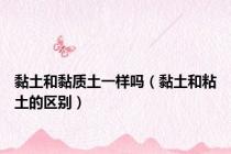 黏土和黏质土一样吗（黏土和粘土的区别）