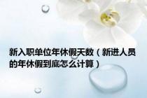 新入职单位年休假天数（新进人员的年休假到底怎么计算）