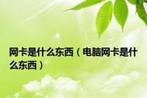 网卡是什么东西（电脑网卡是什么东西）