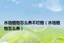 水培植物怎么养不烂根（水培植物怎么养）