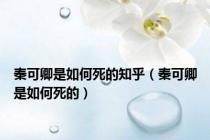 秦可卿是如何死的知乎（秦可卿是如何死的）