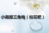 小画报三角梅（校花吧）