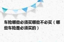 车险哪些必须买哪些不必买（哪些车险是必须买的）