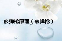 霰弹枪原理（霰弹枪）