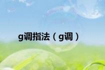 g调指法（g调）