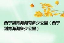 西宁到青海湖有多少公里（西宁到青海湖多少公里）