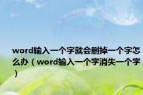 word输入一个字就会删掉一个字怎么办（word输入一个字消失一个字）