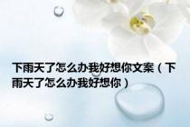 下雨天了怎么办我好想你文案（下雨天了怎么办我好想你）