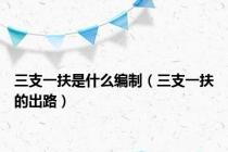 三支一扶是什么编制（三支一扶的出路）