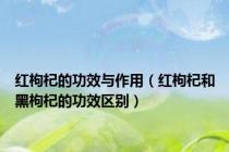 红枸杞的功效与作用（红枸杞和黑枸杞的功效区别）