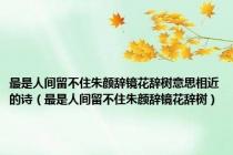 最是人间留不住朱颜辞镜花辞树意思相近的诗（最是人间留不住朱颜辞镜花辞树）