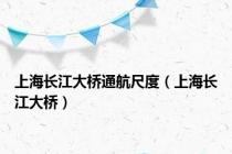 上海长江大桥通航尺度（上海长江大桥）