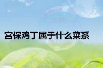宫保鸡丁属于什么菜系