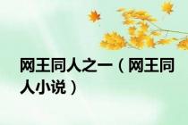 网王同人之一（网王同人小说）