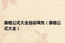 表格公式大全自动填充（表格公式大全）
