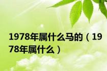 1978年属什么马的（1978年属什么）