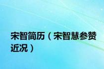 宋智简历（宋智慧参赞近况）
