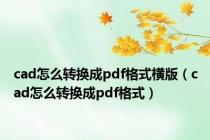 cad怎么转换成pdf格式横版（cad怎么转换成pdf格式）