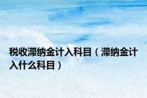 税收滞纳金计入科目（滞纳金计入什么科目）