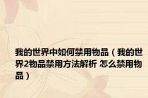 我的世界中如何禁用物品（我的世界2物品禁用方法解析 怎么禁用物品）