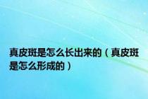 真皮斑是怎么长出来的（真皮斑是怎么形成的）