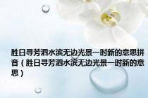 胜日寻芳泗水滨无边光景一时新的意思拼音（胜日寻芳泗水滨无边光景一时新的意思）