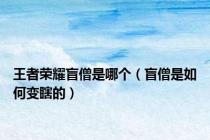 王者荣耀盲僧是哪个（盲僧是如何变瞎的）