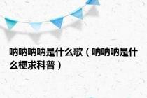 呐呐呐呐是什么歌（呐呐呐是什么梗求科普）