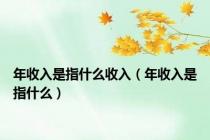 年收入是指什么收入（年收入是指什么）