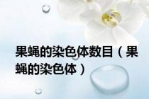 果蝇的染色体数目（果蝇的染色体）