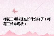 梅花三姐妹现在长什么样子（梅花三姐妹现状）