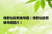 绿野仙踪思维导图（绿野仙踪思维导图图片）