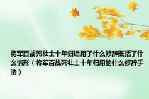 将军百战死壮士十年归运用了什么修辞概括了什么情形（将军百战死壮士十年归用的什么修辞手法）