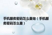 手机服务密码怎么查询（手机服务密码怎么查）