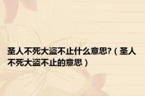 圣人不死大盗不止什么意思?（圣人不死大盗不止的意思）