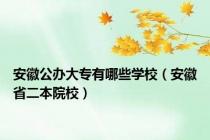安徽公办大专有哪些学校（安徽省二本院校）
