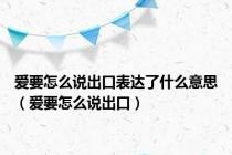 爱要怎么说出口表达了什么意思（爱要怎么说出口）