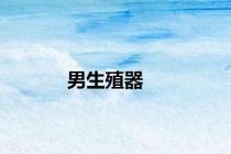 男生殖器