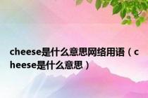 cheese是什么意思网络用语（cheese是什么意思）