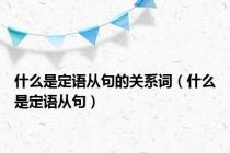 什么是定语从句的关系词（什么是定语从句）