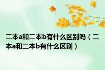 二本a和二本b有什么区别吗（二本a和二本b有什么区别）