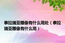 泰拉瑞亚雕像有什么用处（泰拉瑞亚雕像有什么用）