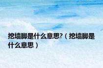 挖墙脚是什么意思?（挖墙脚是什么意思）