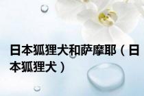 日本狐狸犬和萨摩耶（日本狐狸犬）