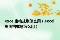 excel表格式刷怎么用（excel 里面格式刷怎么用）