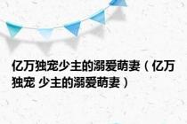 亿万独宠少主的溺爱萌妻（亿万独宠 少主的溺爱萌妻）