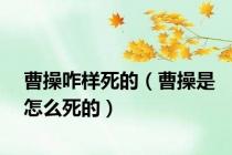 曹操咋样死的（曹操是怎么死的）