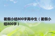 暑假小结800字高中生（暑假小结800字）